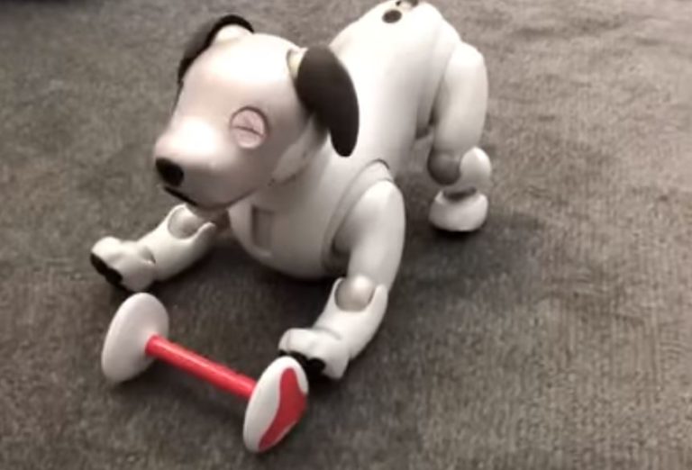 Sony представила новое поколение робота-собаки Aibo