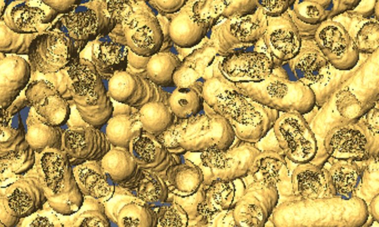 Искусственные ферменты используют свет для уничтожения бактерий