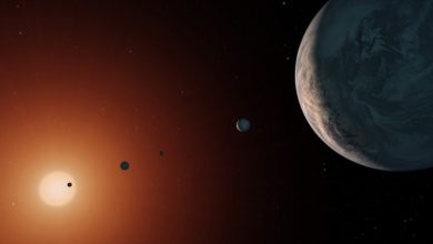 Планеты TRAPPIST-1