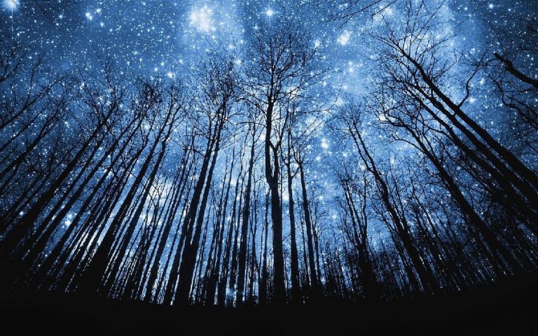 Теория темного леса: пугающее решение парадокса Ферми