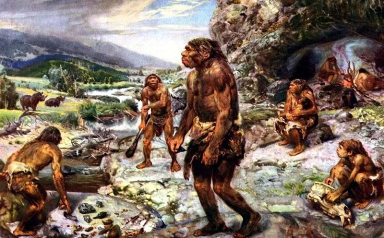 Неандертальцы ели рыбу, крабов и даже тюленей