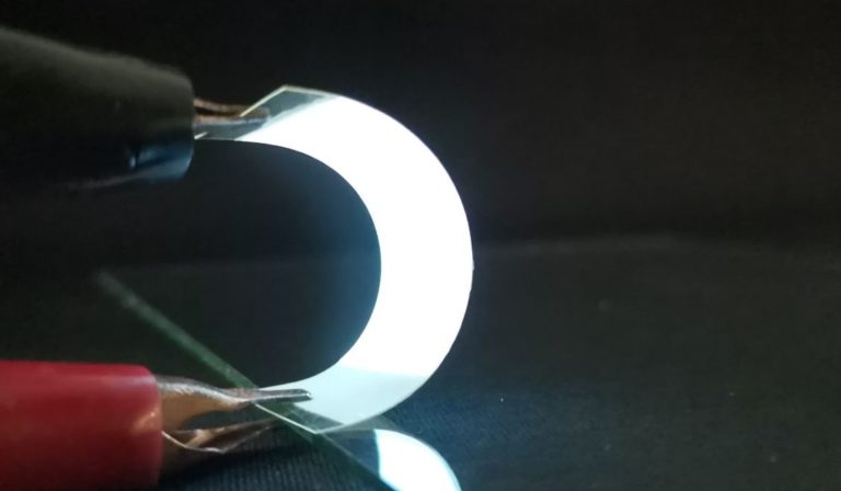 Рыбья чешуя может найти применение в гибкой электронике