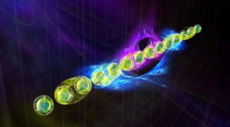 Новый протокол идентифицирует квантовые состояния