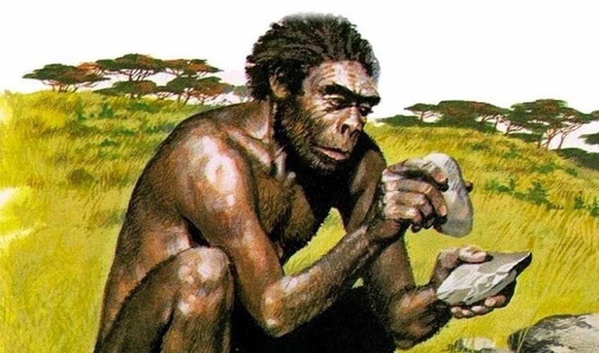 Homo erectus (Человек прямоходящий)