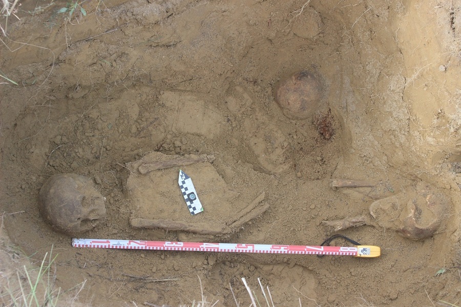Археологи СПбГУ исследуют средневековый могильник в Ленобласти
