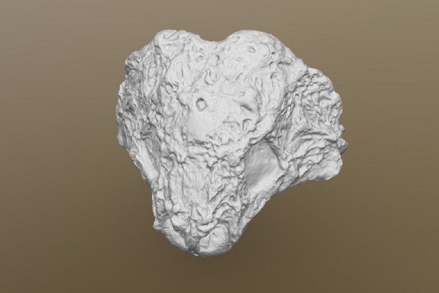 3D-модели черепа скутозавра, иностранцевии, двинозавра