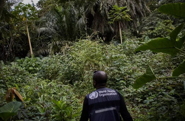В Африке вновь обнаружен вирус Эбола
