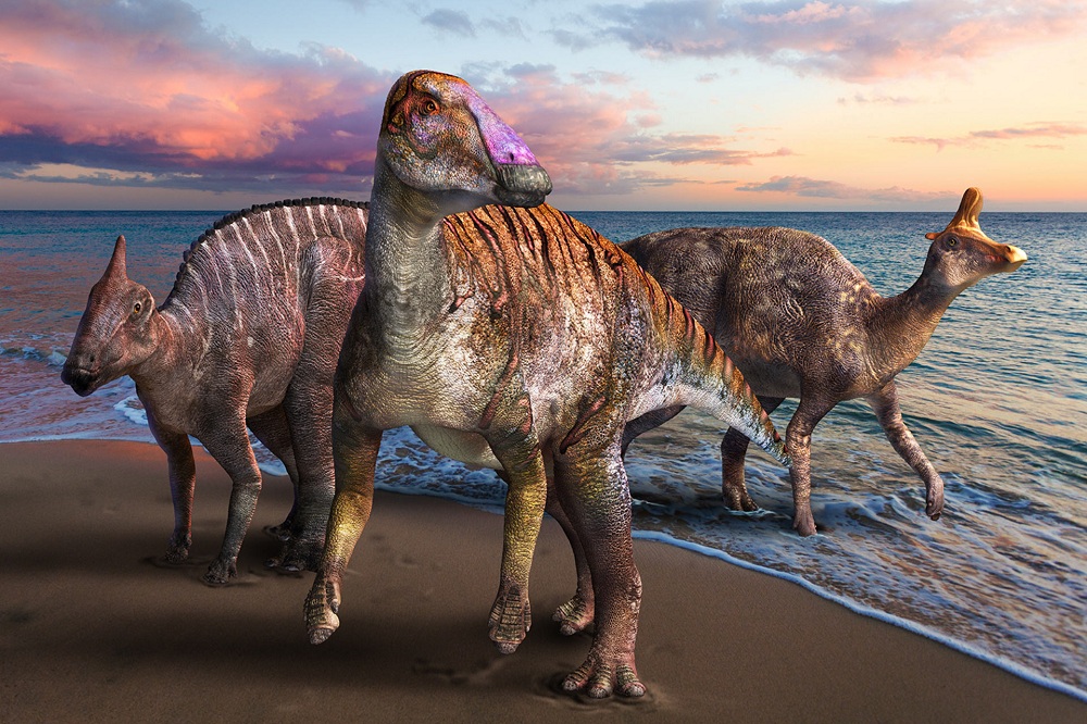 Yamatosaurus izanagii бродил по нашей планете 71,8 миллиона лет назад в позднемеловую эпоху.