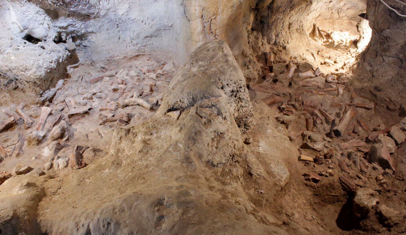 Археологи обнаружили останки неандертальцев недалеко от Рима