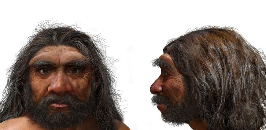 Homo longi