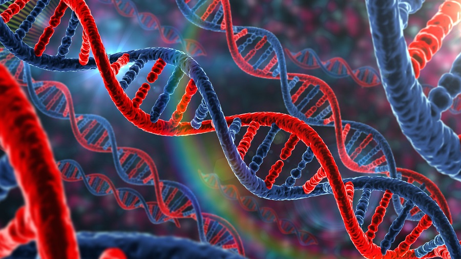 Новое открытие показывает, что клетки человека могут записывать последовательности РНК в ДНК