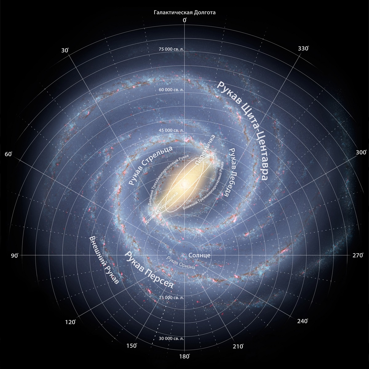Схема галактики Млечный путь
