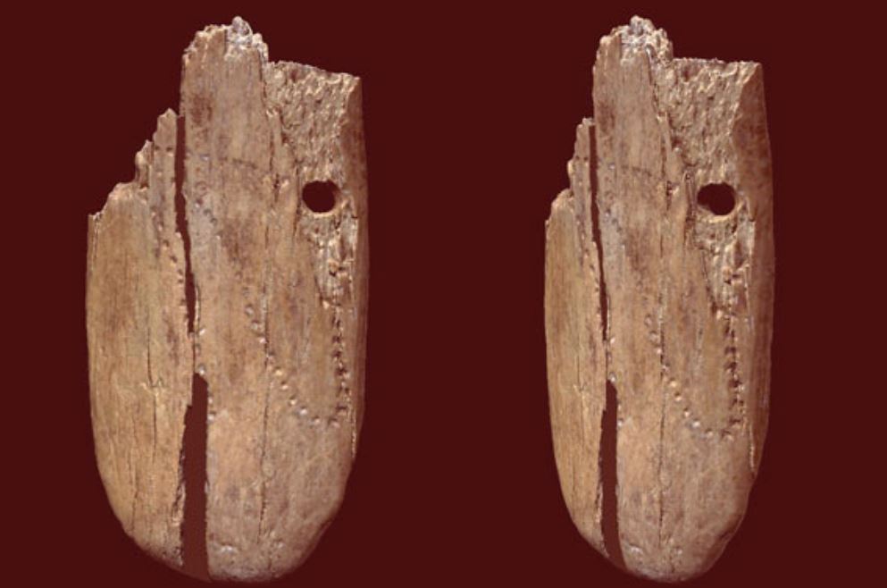 Подвеска из кости мамонта, возраст которой 41 500 лет, найдена в Польше