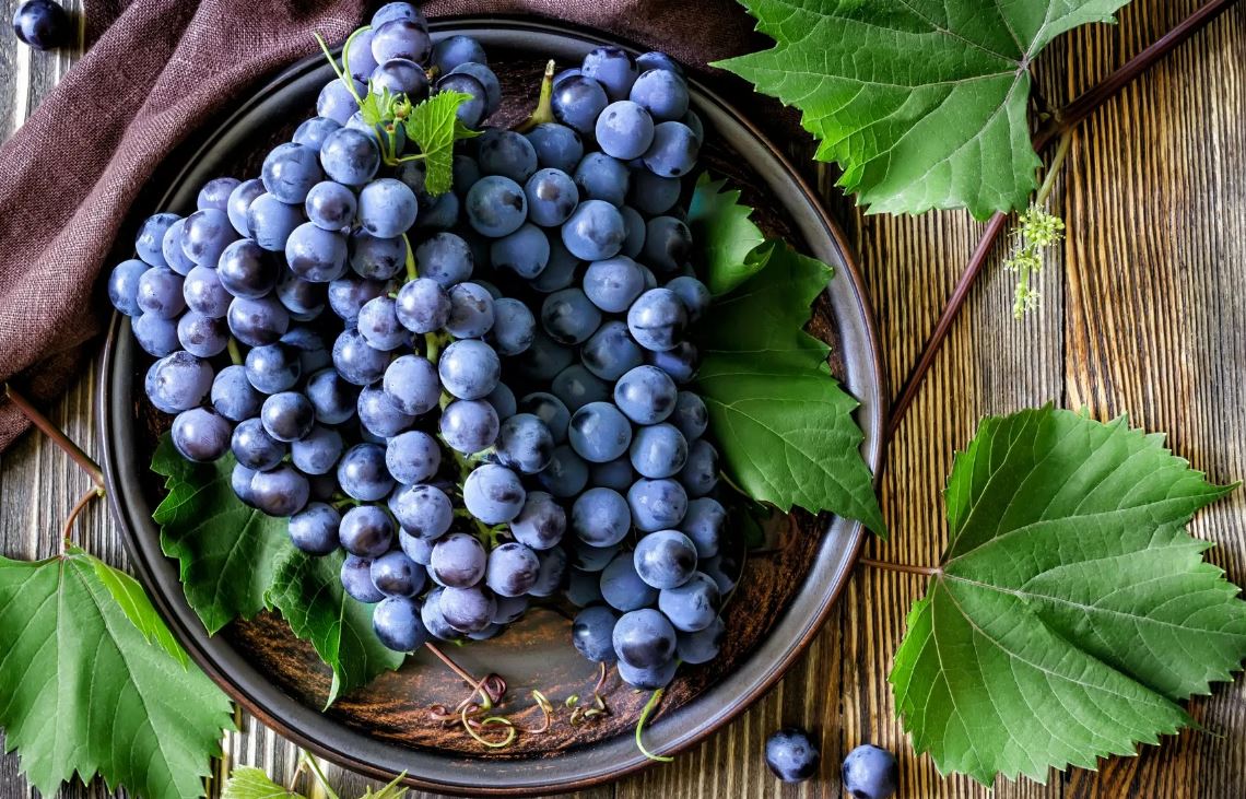 Виноград увеличивает разнообразие биома кишечника и снижает уровень холестерина