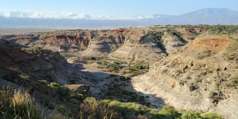 Ущелье Олдувай, Танзания, важное место для изучения эволюции человека