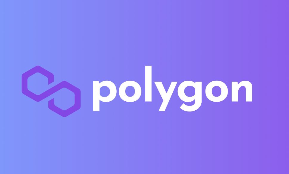 В чем секрет популярности Polygon? Где и на что выгодно обменять LTC?