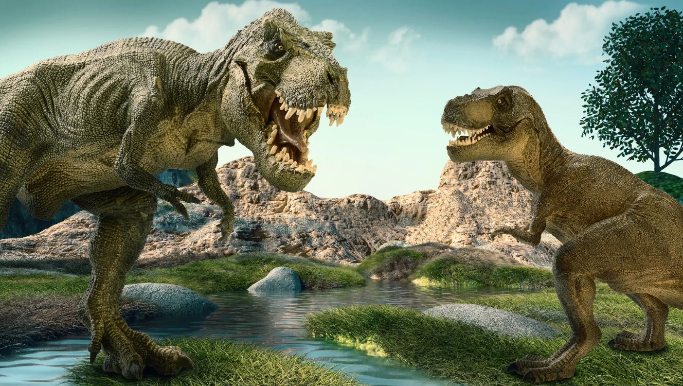 Остатки тираннозавра намекают на два возможных вида, отличных от Tyrannosaurus rex