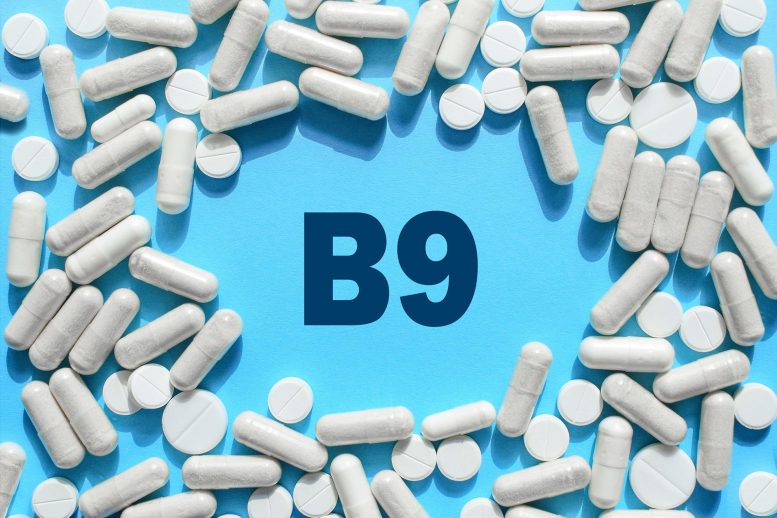 Низкий уровень фолиевой кислоты (витамин B9) связан с риском деменции у пожилых людей