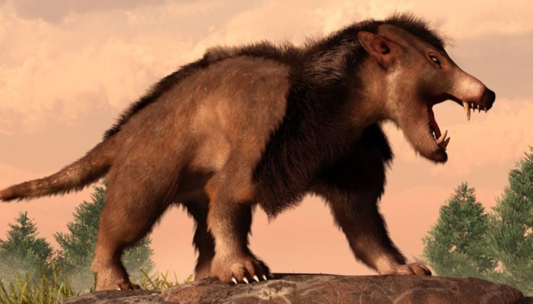 Доисторические млекопитающие увеличились в размерах, чтобы выжить после динозавров