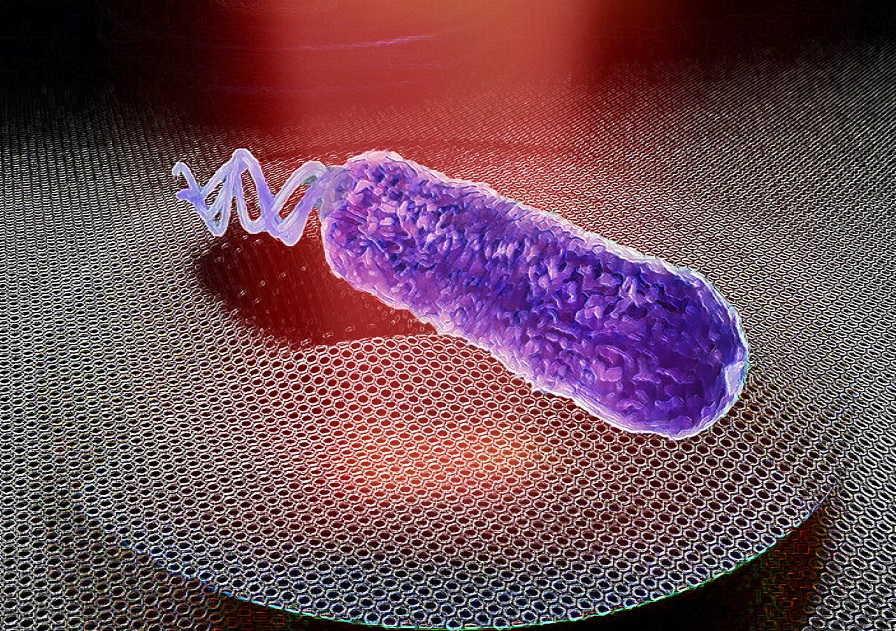 Звуки бактерий были обнаружены с помощью графеновой мембраны