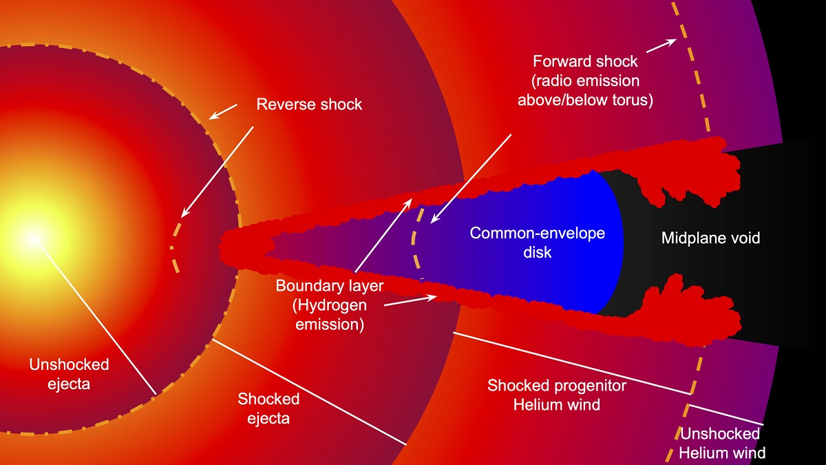 Сверхновая SN 2014C раскрыла свои секреты