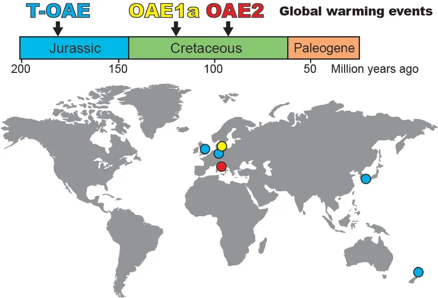 Нанофоссилии-призраки были обнаружены по всему миру, в горных породах во время трех событий быстрого потепления в истории Земли (T-OAE, OAE1a и OAE2).