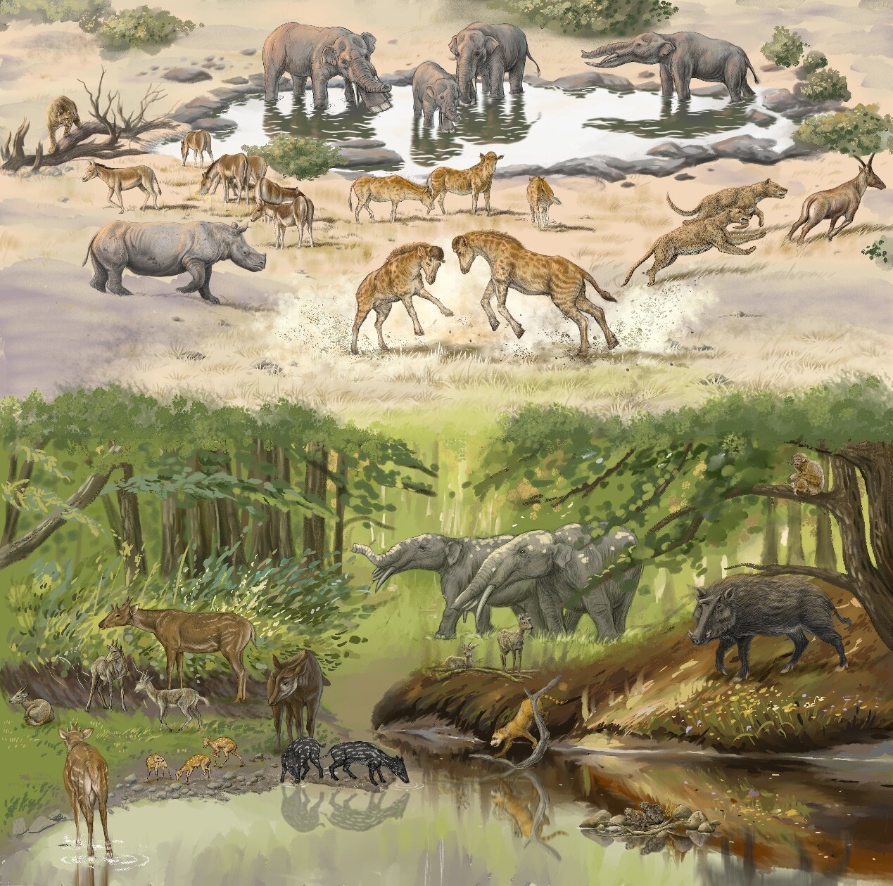 Ископаемое сообщество в Джунгарской котловине около 17 миллионов лет назад.