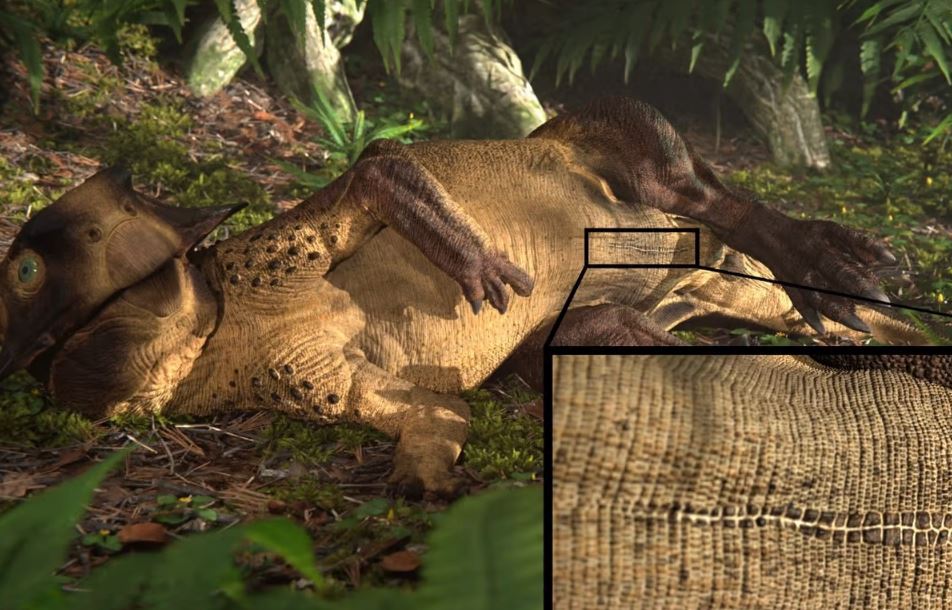 Изображение того, как пситтакозавр и его пупок могли бы выглядеть