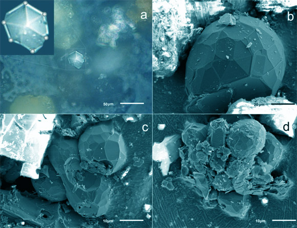 Оптические (а) и СЭМ (б) изображения кристаллов углерода в метеоритной пыли. 