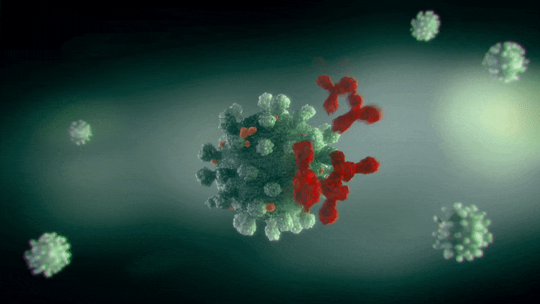 Ученые нашли многообещающую молекулу Apt-7 против рака
