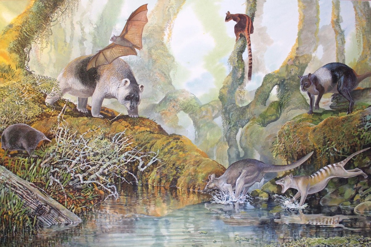 Впечатление художника от Nombe nombe (справа) и других доисторических животных из Nombe Rockshelter, Папуа-Новая Гвинея.