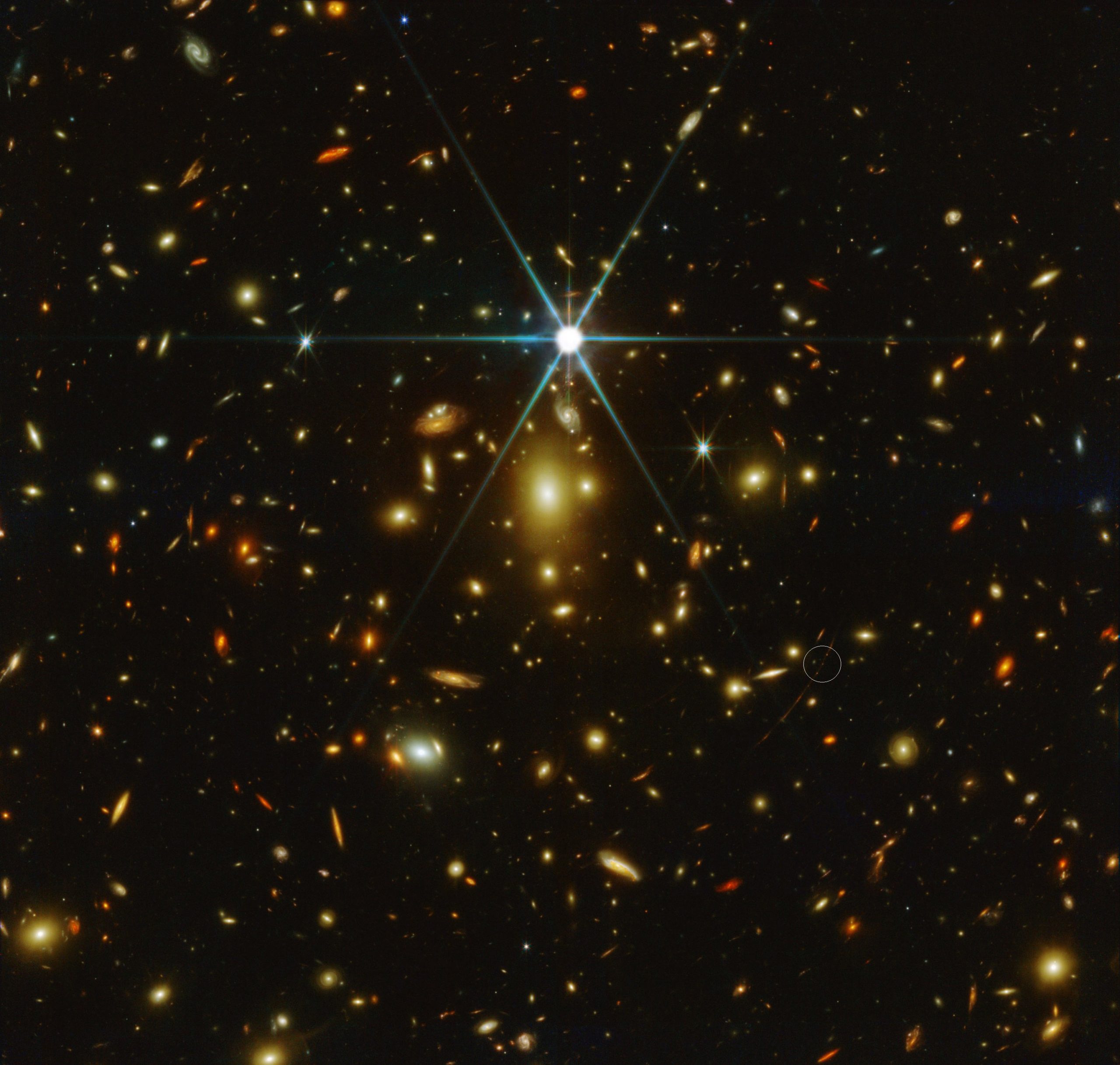 На этом изображении Webb/NIRCam показано массивное скопление галактик WHL0137-08; звезда Эарендел обозначена белым кругом.