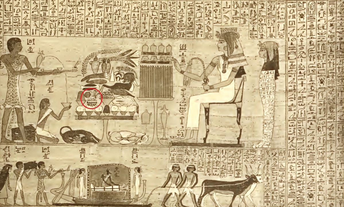 Папирус де Камара с изображением плода цитрулла (красный кружок), интерпретируемого как дикий арбуз