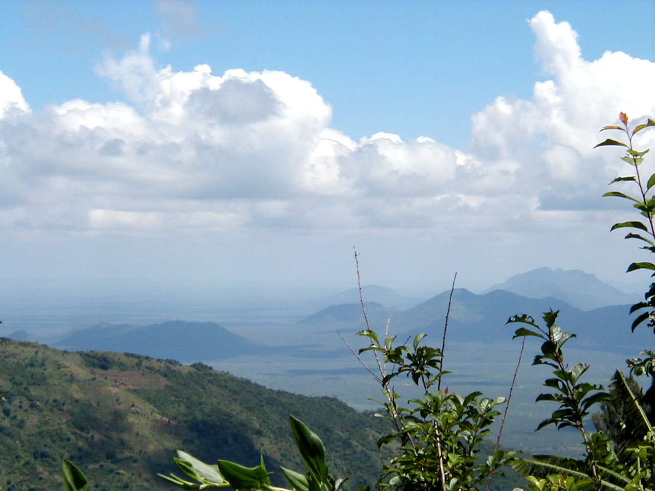 Паре — горы на северо-востоке Танзании. 