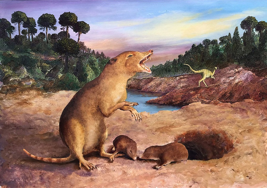 бразилодон — древнейшее из известных млекопитающих