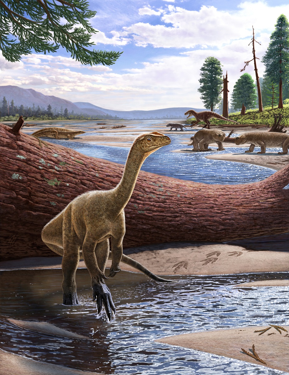 Художественная реконструкция Mbiresaurus raathi
