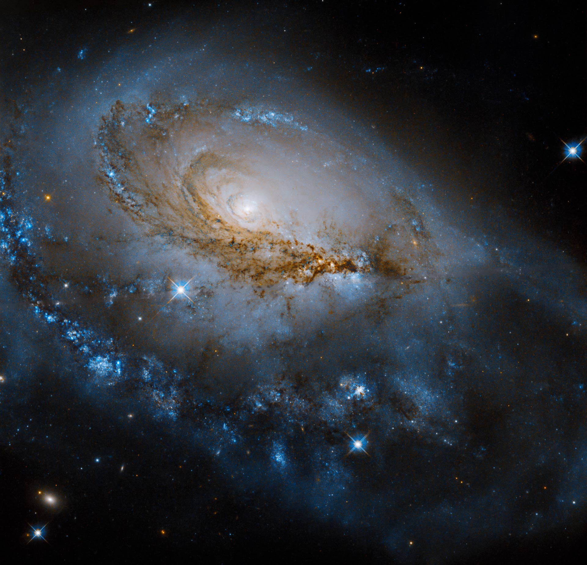 На этом изображении Хаббла показана NGC 1961, спиральная галактика, расположенная примерно в 197 миллионах световых лет от нас в созвездии Жирафа
