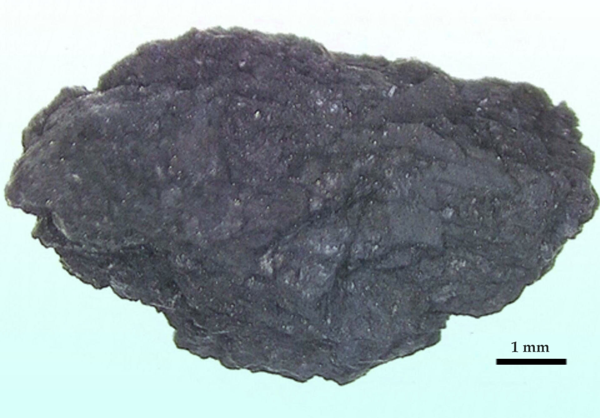 Оптическая микрофотография крупнейшего образца астероида Рюгу, проанализированного ученым