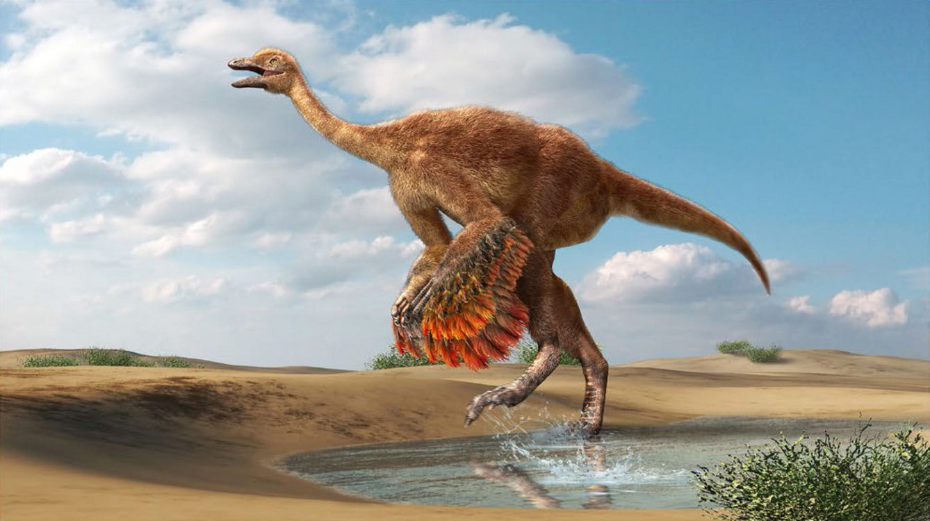 орнитомимозавр