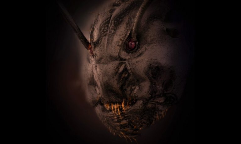 Невероятная фотография лица муравья делает его ужасным 🎃