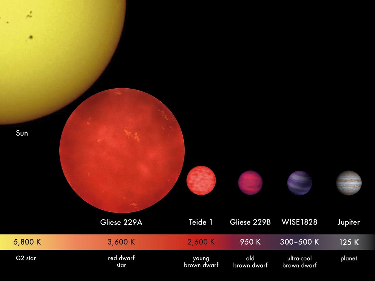 Коричневые карлики Teide 1, Gliese 229 B и WISE 1828+2650 в сравнении с красным карликом Gliese 229A, Юпитером и Солнцем