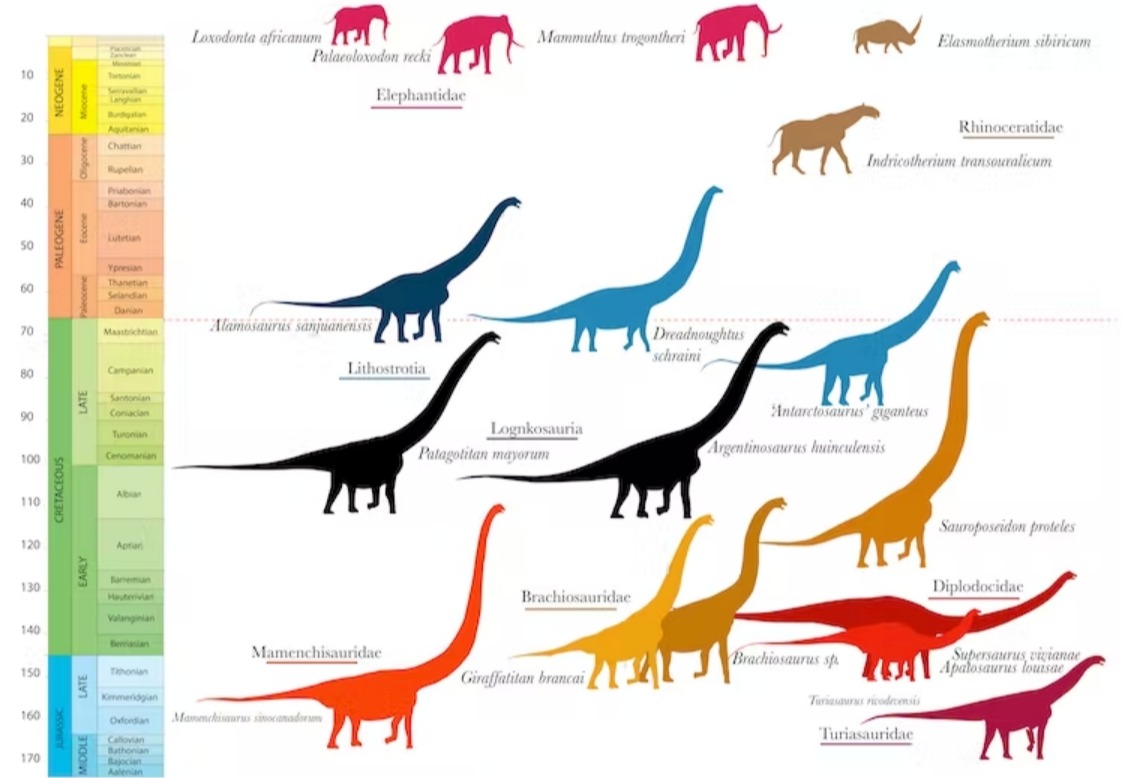 Гигантские динозавры и млекопитающие во времени 
