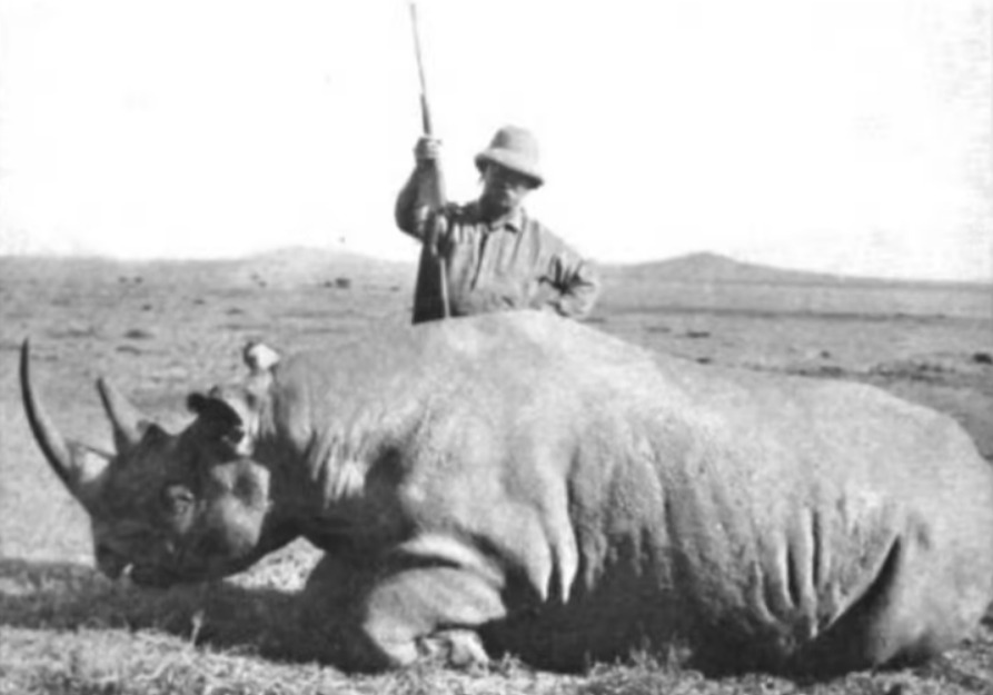 Теодор Рузвельт сфотографирован в 1911 году. Он стоит над только что убитым черным носорогом.