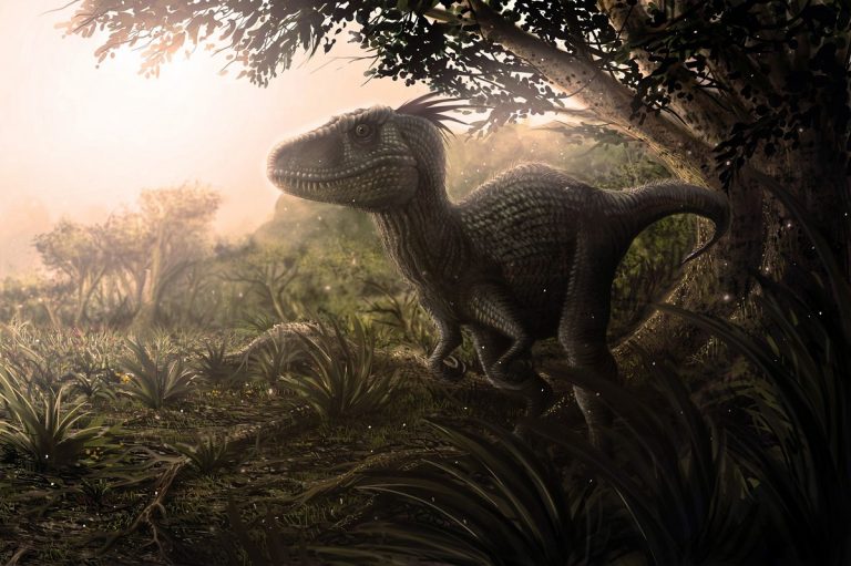 Как бы выглядели динозавры сегодня, если бы не вымерли 66 миллионов лет назад?