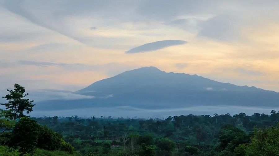 Вулкан Камерун и окружающий лесной пейзаж.