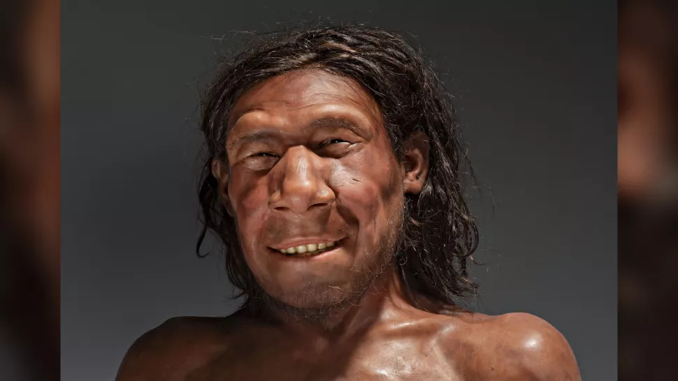 Реконструкция лица этого неандертальца, получившая название «Крин», была создана с использованием всего лишь куска черепа 