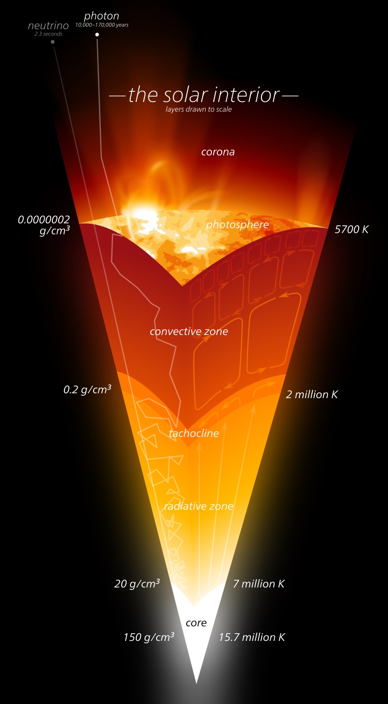 Схема поперечного сечения недр Солнца