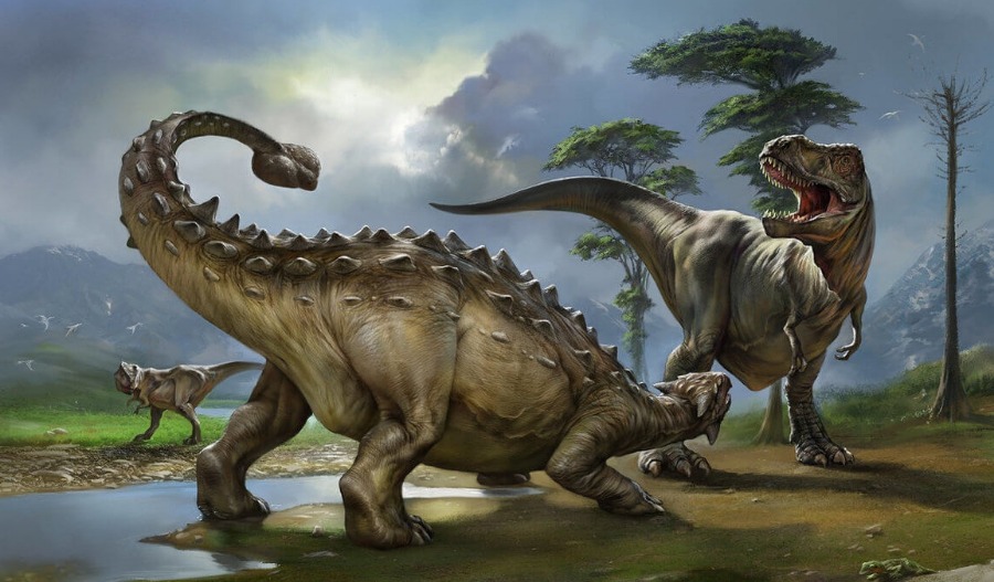Анкилозавры сражались не только с тираннозаврами, но и друг с другом с помощью массивных хвостов