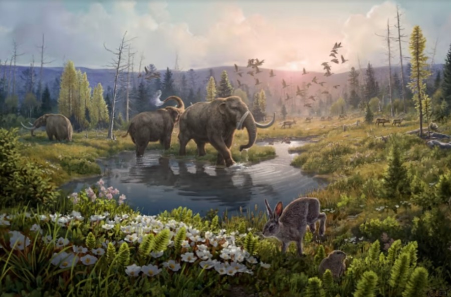 Представление художника об экосистеме, существовавшей в Гренландии 2 миллиона лет назад