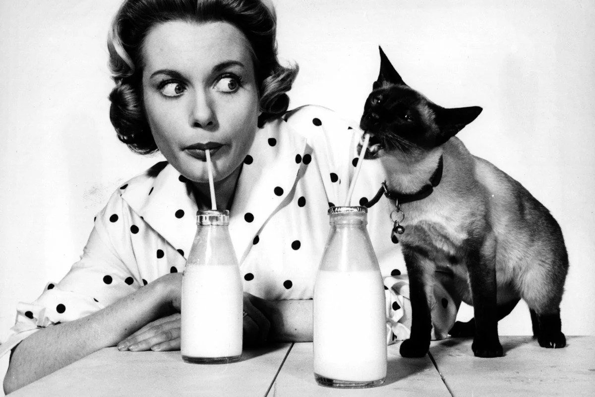 Английская актриса Жозефина Гриффин пьет молоко вместе с кошкой.